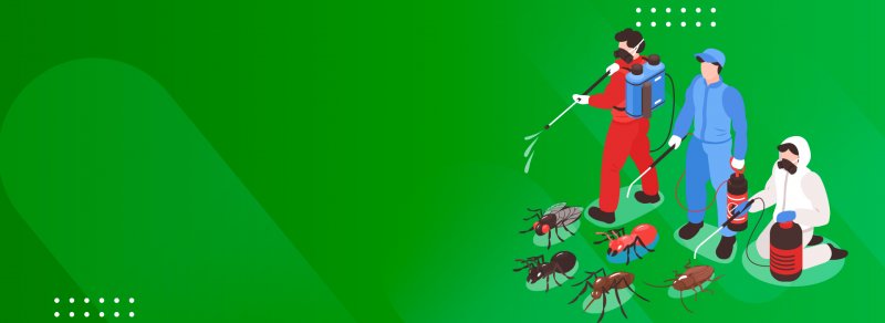 Karabük Böcek İlaçlama